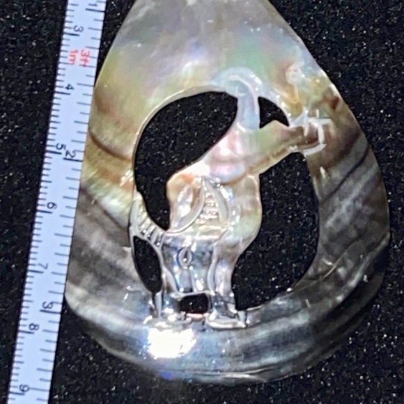 Big abalone pendant